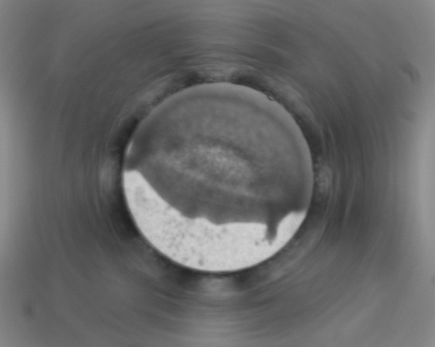 X0000113230283200910221046