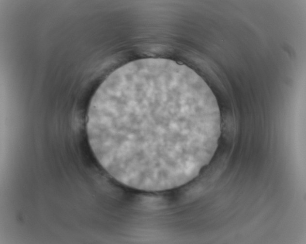 X0000113230284200910221046