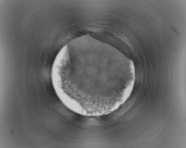 X0000113230285200910221046