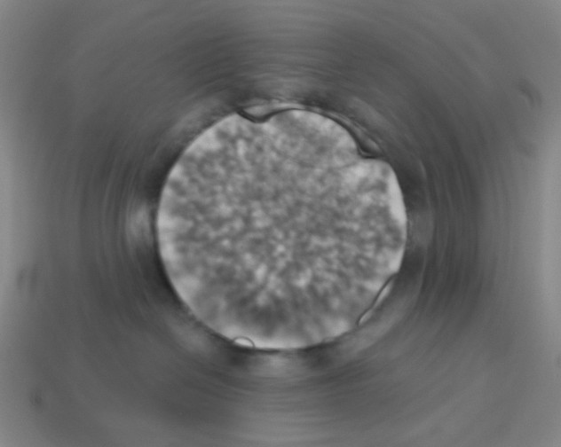 X0000113230286200910221046