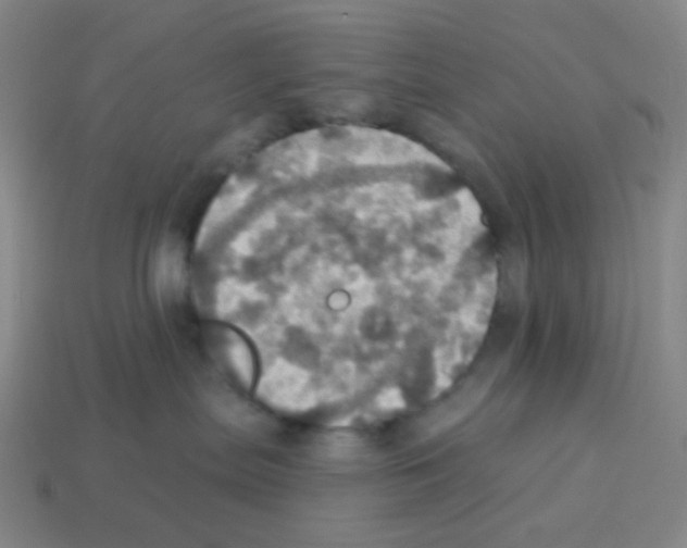 X0000113230287200910221046