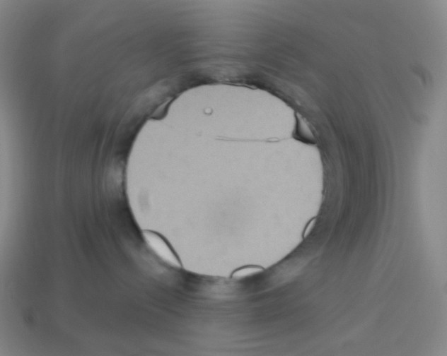 X0000113230288200910221046