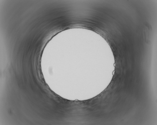 X0000113230289200910221045