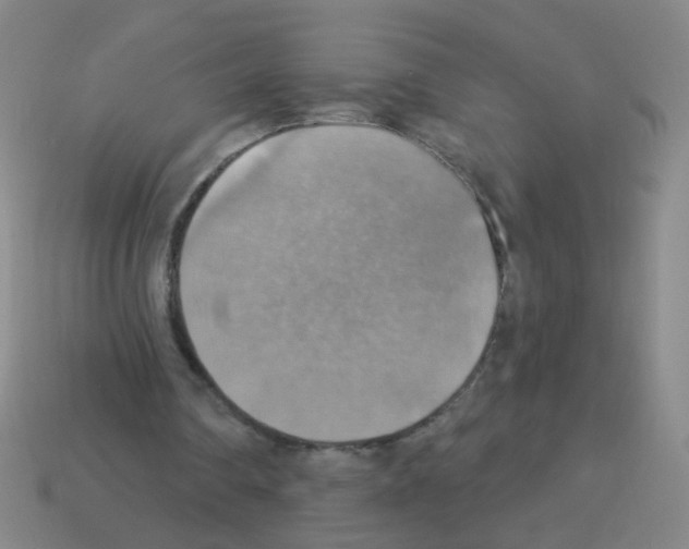 X0000113230290200910221045