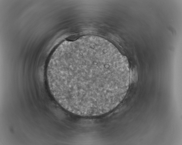 X0000113230291200910221045