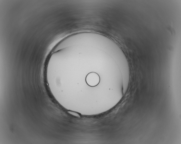 X0000113230292200910221045