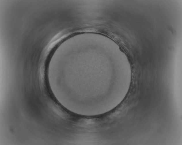 X0000113230295200910221045