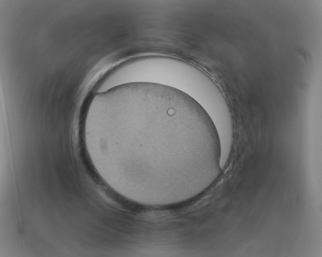 X0000113230296200910221045