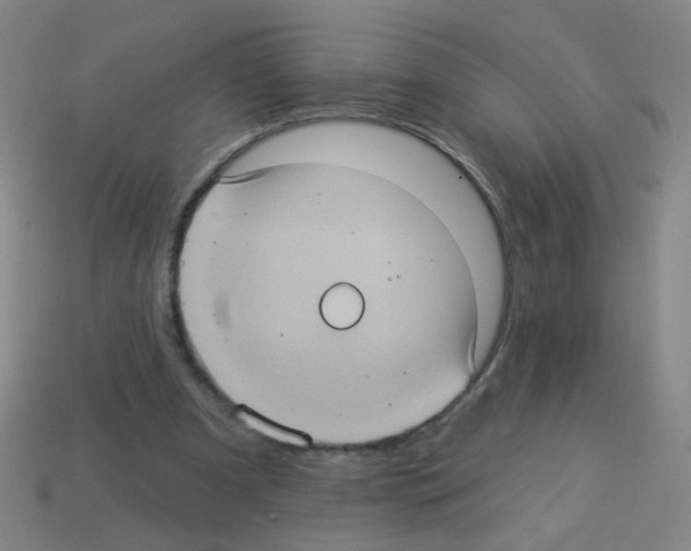 X0000113230297200910221045