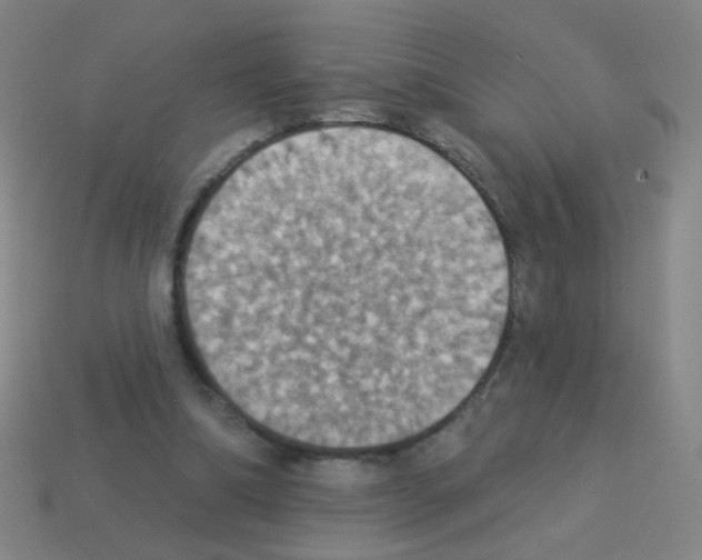 X0000113230298200910221045