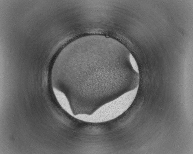 X0000113230299200910221045