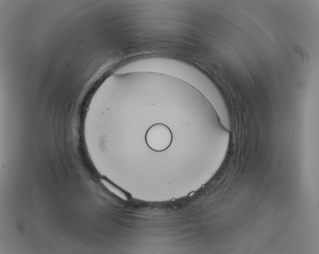 X0000113230300200910221045