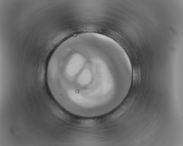 X0000113230301200910221045