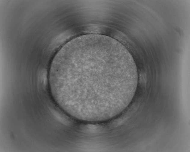 X0000113230302200910221045