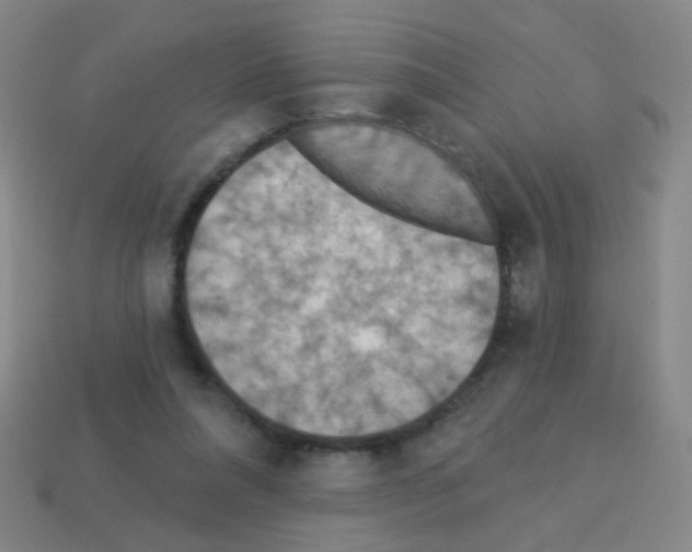 X0000113230304200910221045