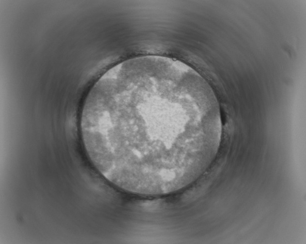 X0000113230306200910221045