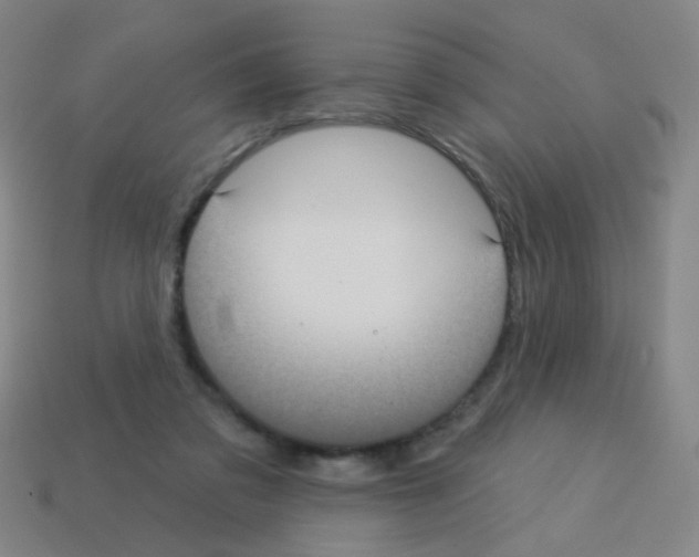 X0000113230309200910221045