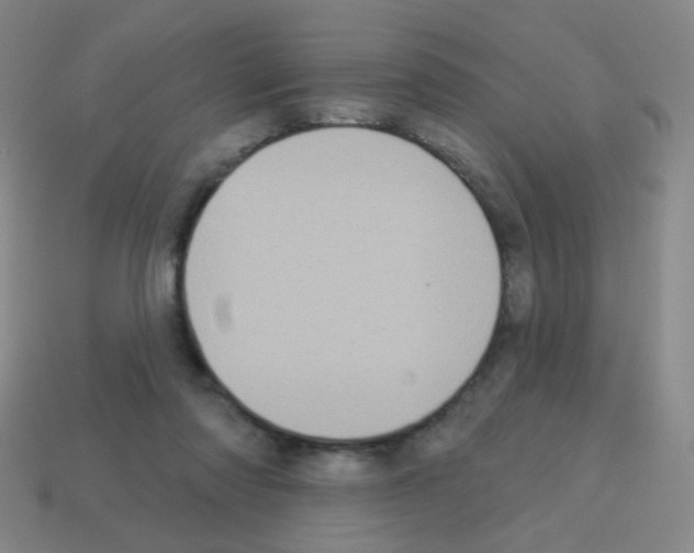 X0000113230310200910221045