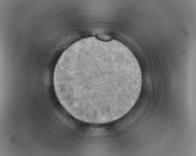 X0000113230311200910221045