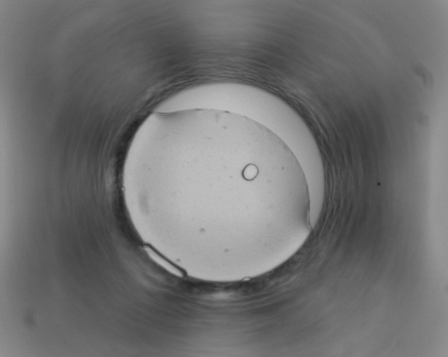 X0000113230312200910221045