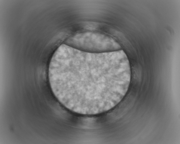 X0000113230313200910221045