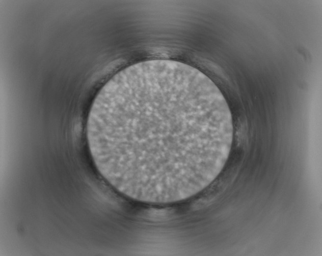 X0000113230314200910221045