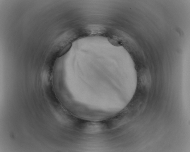 X0000113230316200910221045