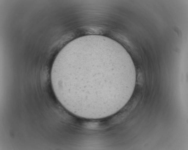 X0000113230318200910221045