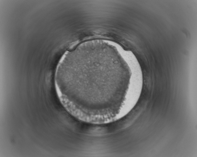 X0000113230319200910221045