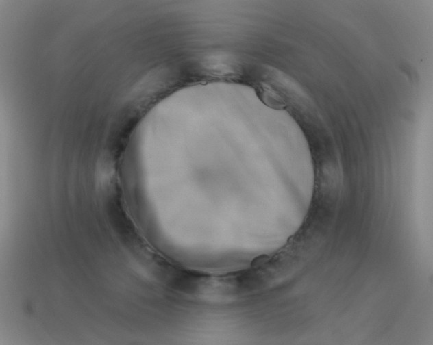 X0000113230320200910221045