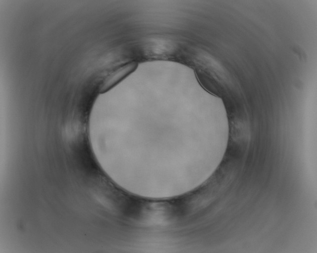 X0000113230324200910221044