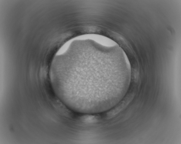 X0000113230326200910221044