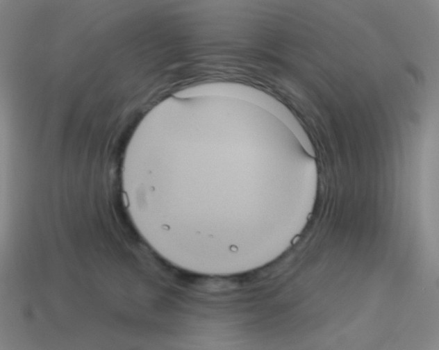 X0000113230327200910221044