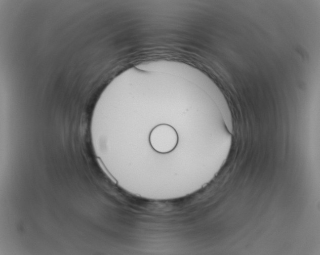 X0000113230328200910221044