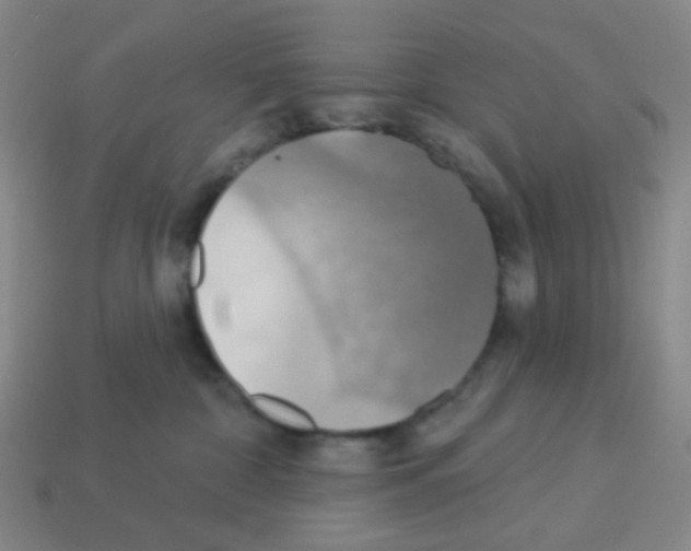 X0000113230332200910221044