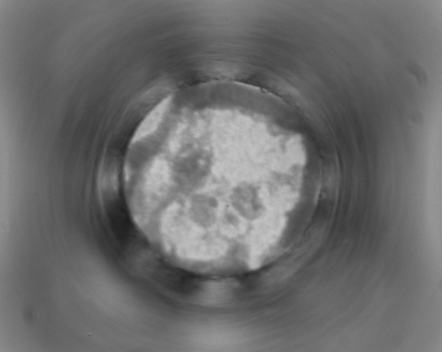 X0000113230334200910221044