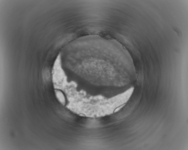 X0000113230335200910221044