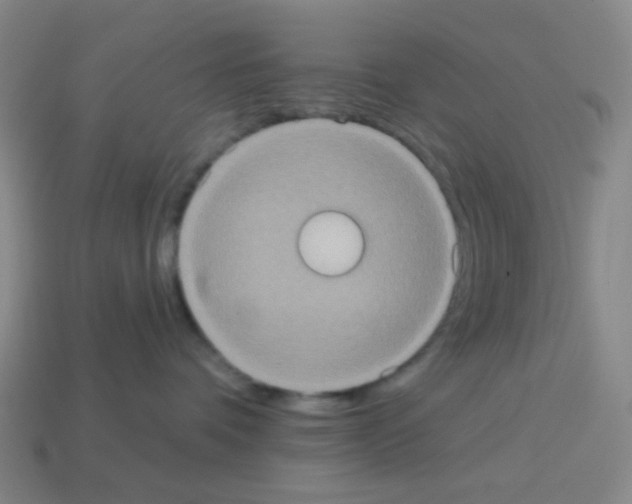 X0000113230336200910221044