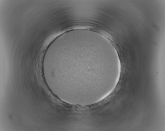 X0000113230337200910221044