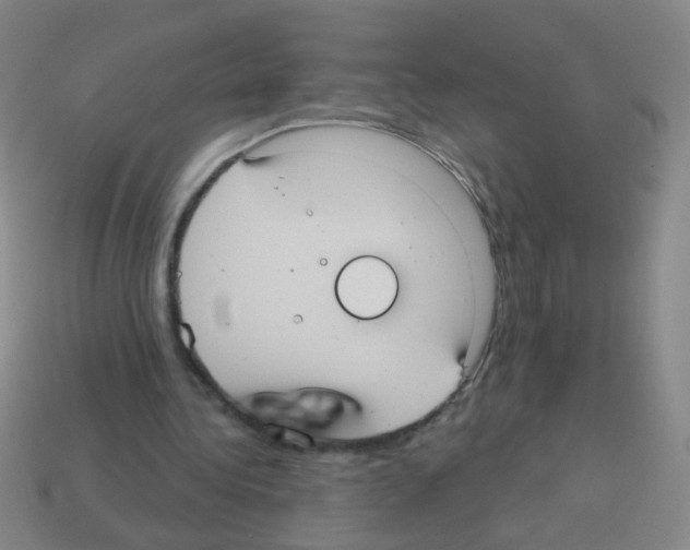 X0000113230340200910221044