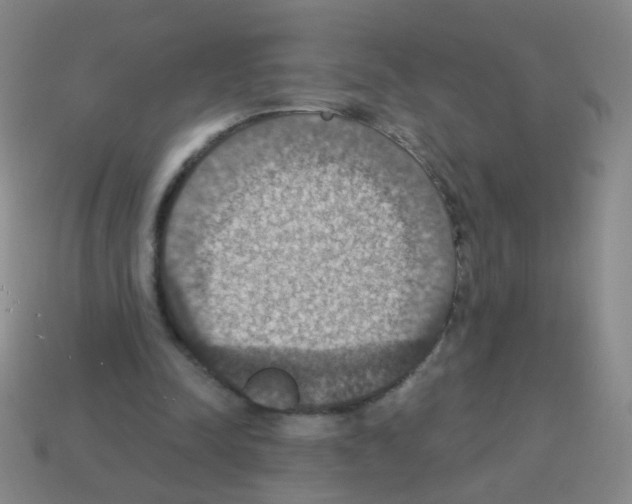 X0000113230342200910221044