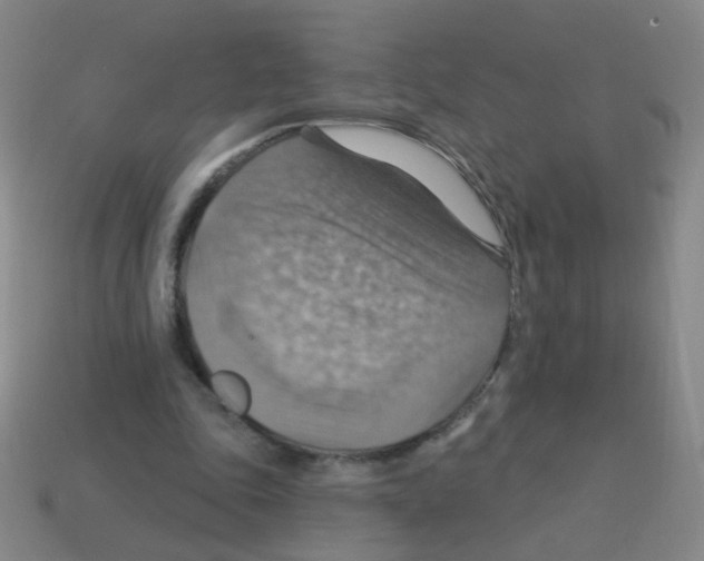 X0000113230343200910221044