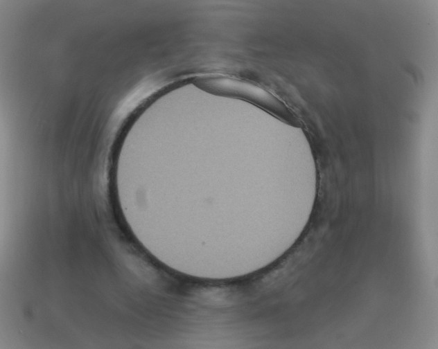 X0000113230344200910221044