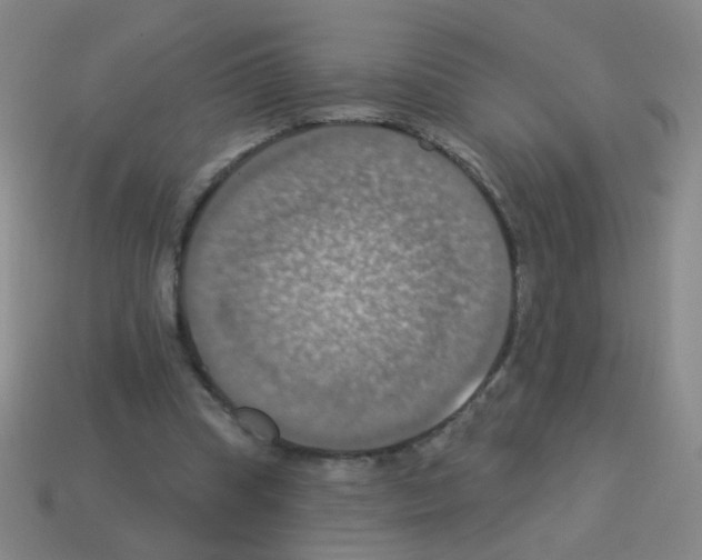 X0000113230345200910221044