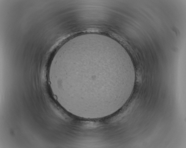 X0000113230347200910221044