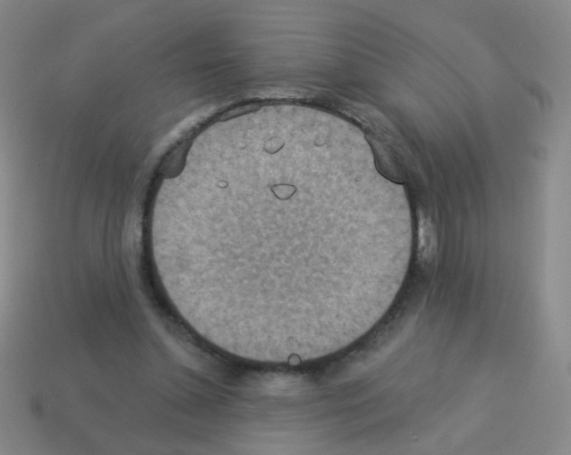 X0000113230348200910221044