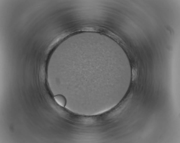 X0000113230349200910221044