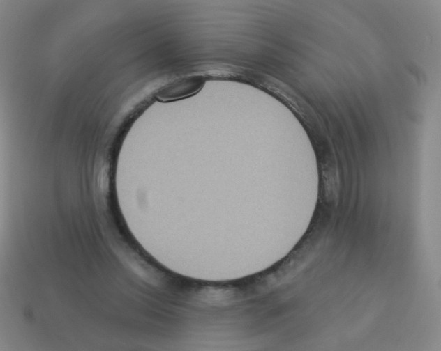 X0000113230350200910221044