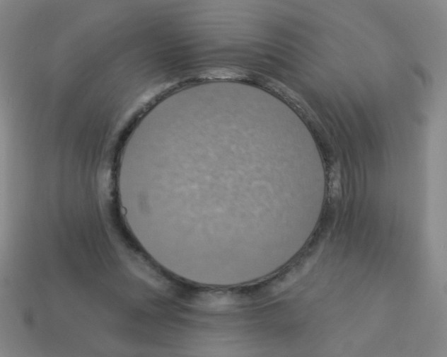 X0000113230351200910221044