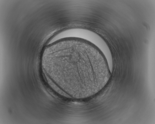 X0000113230352200910221044